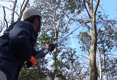 Телескопичен трион Nishigaki N-761 4.0 м 