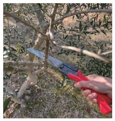 Градински сгъваем трион 200мм Gyokucho Razorsaw Cast Gardening 200 medium teeth