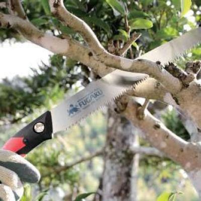 Професионален подрязващ трион 270мм Gyokucho Fugaku Namaki FLG27-A