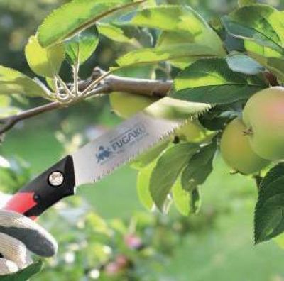 Професионален подрязващ трион 300мм Gyokucho Fugaku Kaju FLF30-A